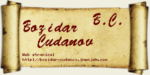 Božidar Čudanov vizit kartica